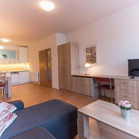 Apartman U Lazni D23 Тршебонь Экстерьер фото